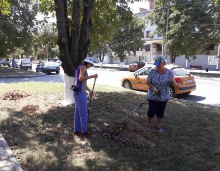 В Тбилисской на улице Первомайской навели порядок